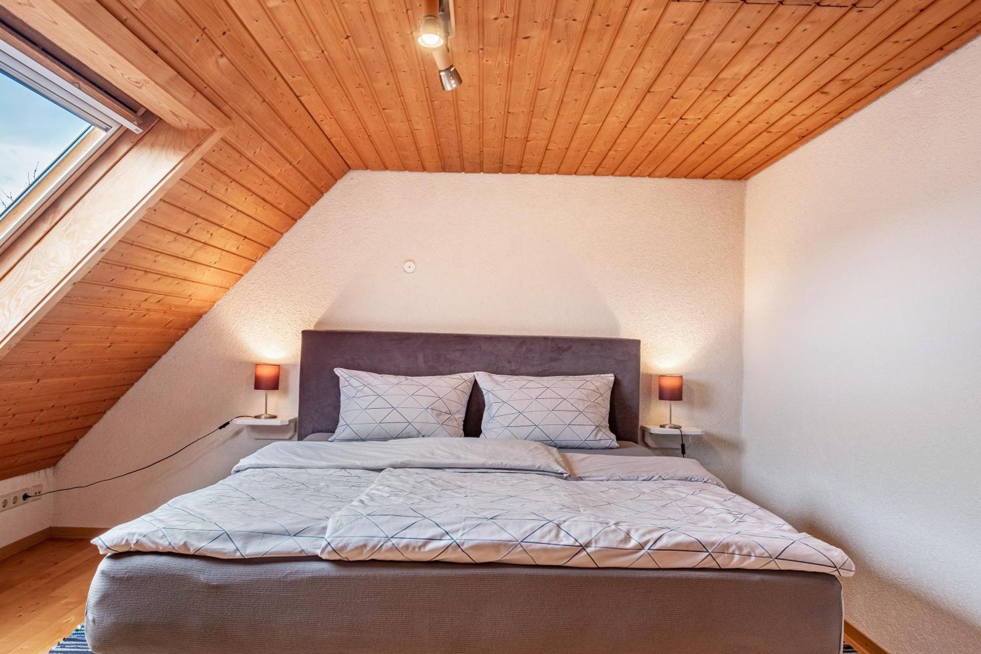 Appartement Lehen Friburgo de Brisgovia Exterior foto